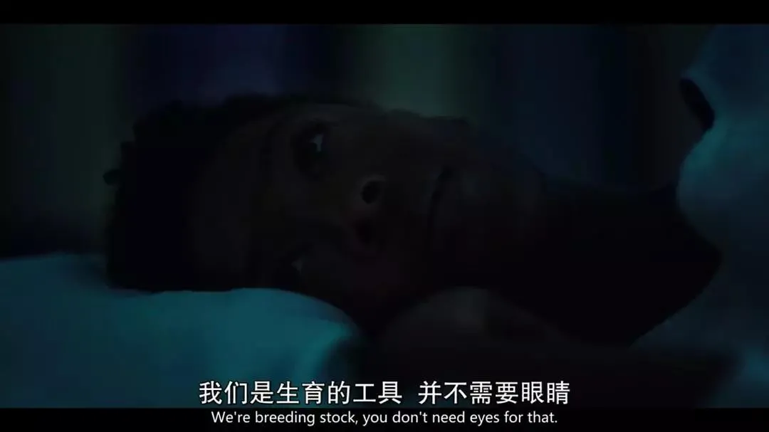 郑爽|郑爽代孕弃养，被全网封杀后新料曝光：她不是蠢，是真恶毒！