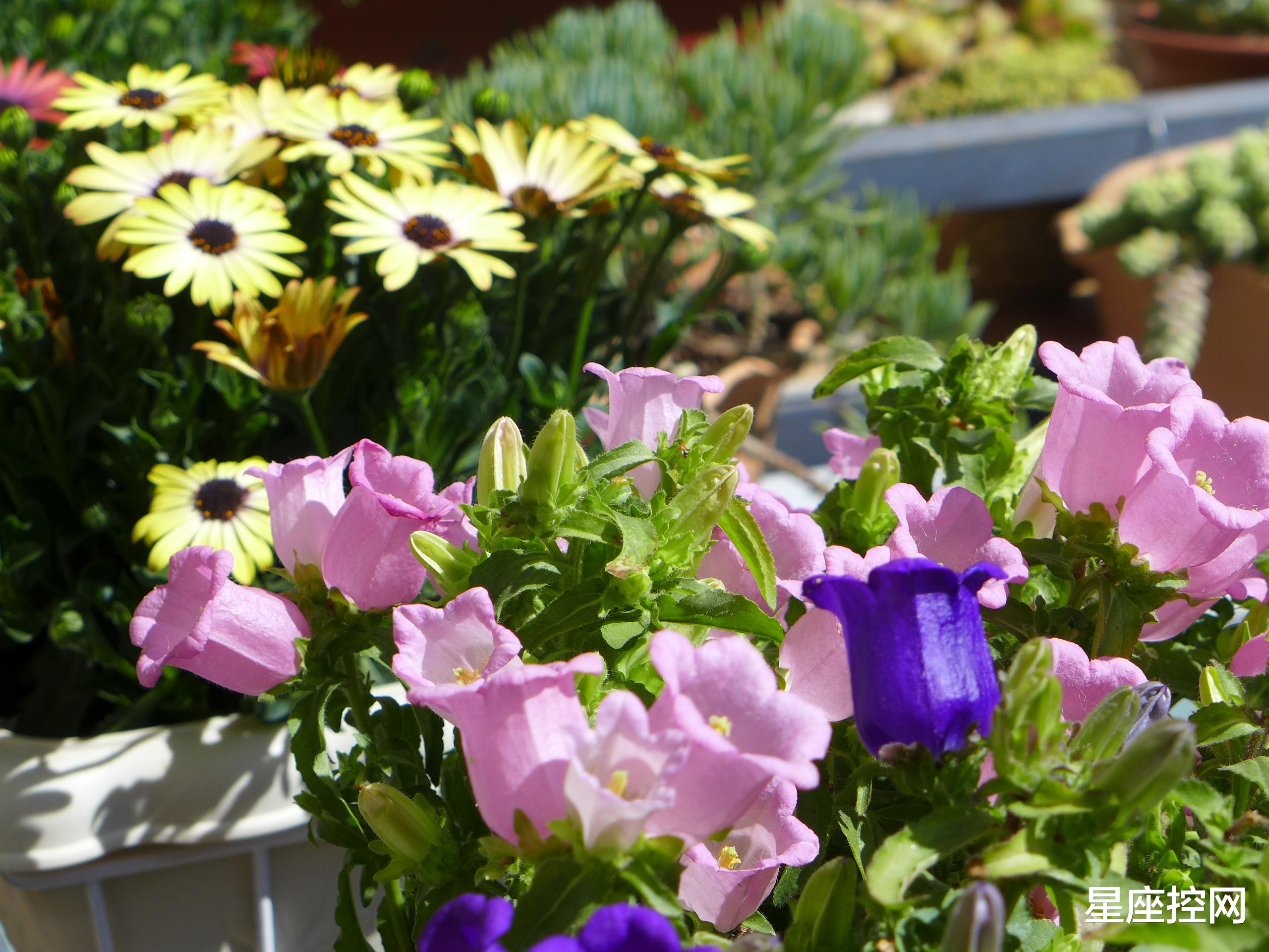 |哪些月份出生的人,扫除眼前障碍,人生迟早走上富贵之路