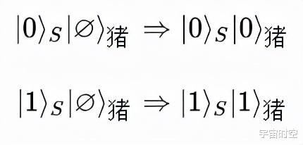 在量子世界,如果观察者是一头猪,也会产生观察者效应吗?
