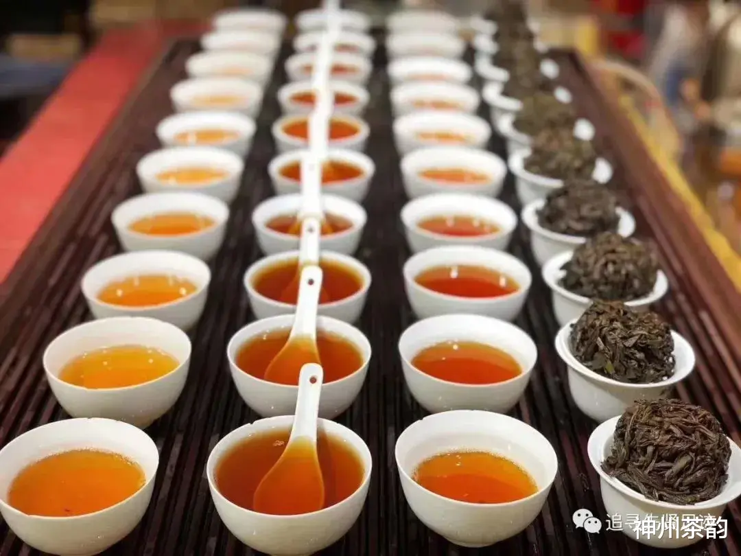 神州茶韵 乌龙茶分类大全，喜欢乌龙的入门必备基础知识