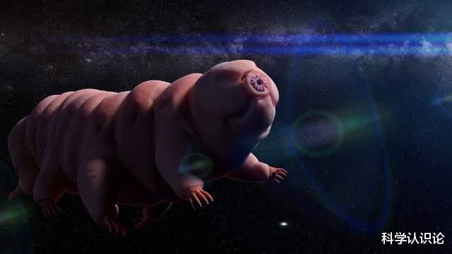 太空 害怕新冠?三名宇航员明天回家,先隔离14天,防止太空病毒