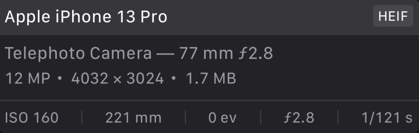 相机|国外网友 iPhone 13 Pro相机算法翻车