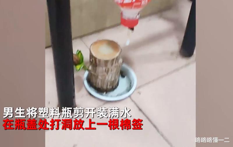 高校|一高校学生放假离校前，自制“神器”安顿好盆栽，放出豪言开学见