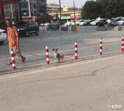 |搞笑GIF：100万一次，100万两次，好的后面大哥出500万，成交咣当...