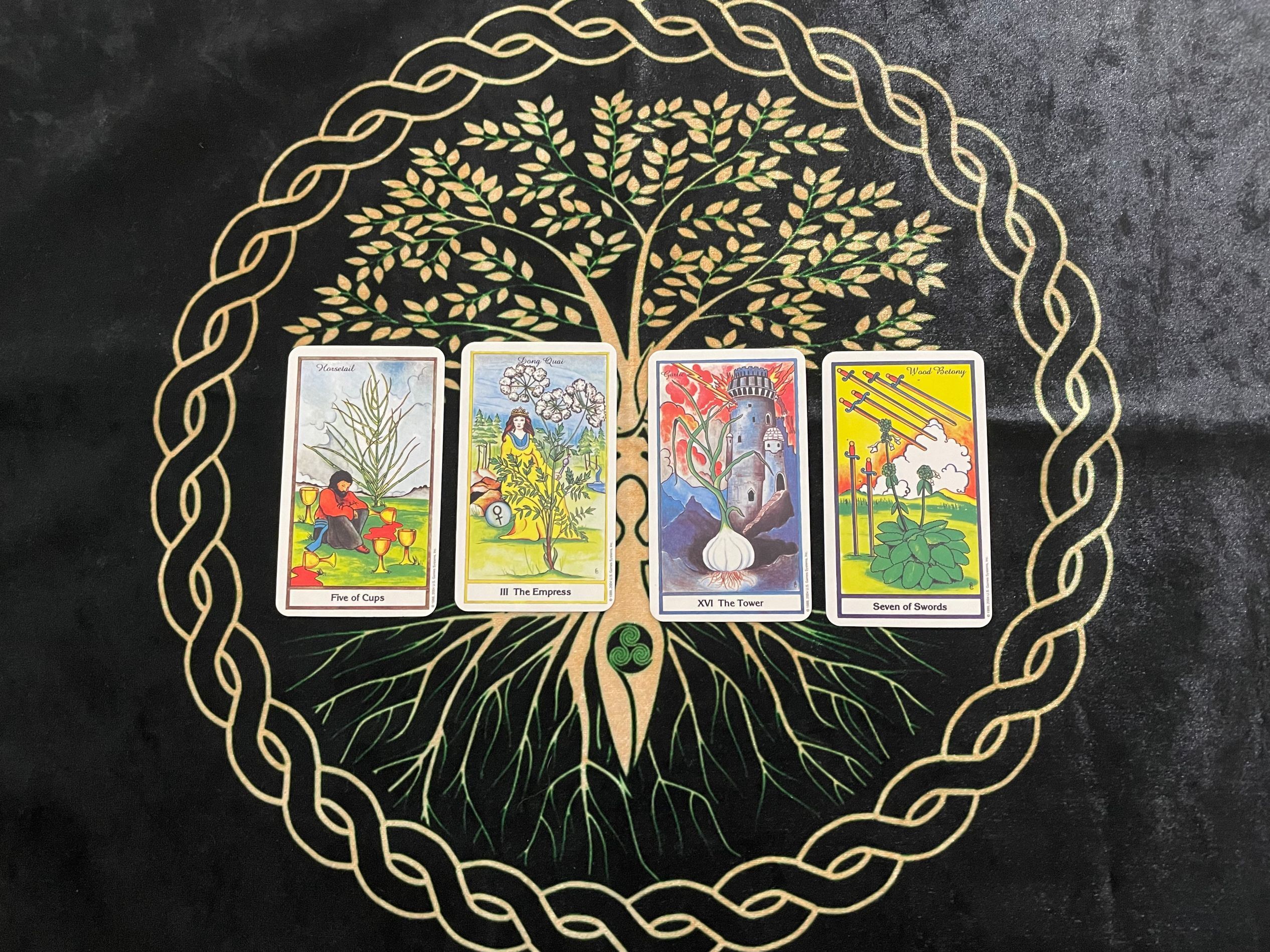 花梦塔罗 花梦塔罗：狮子座11月运势，是正缘应该双向奔赴