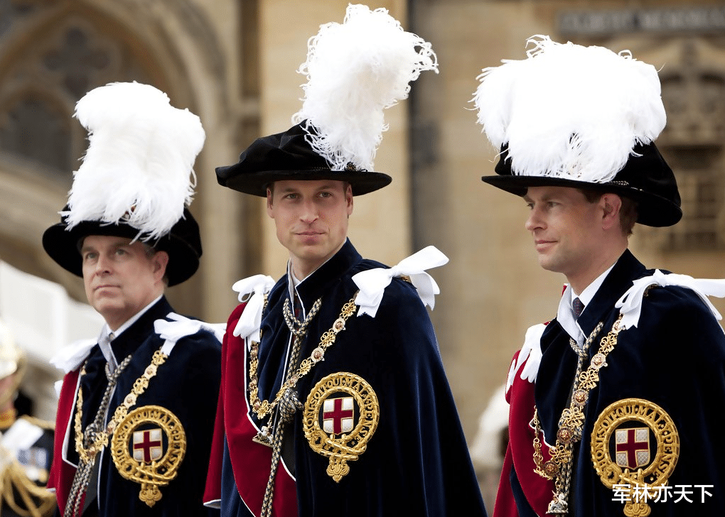 威廉王子身穿皇傢衛隊軍裝，總會戴一個藍佈條，到底是啥呢？-圖3