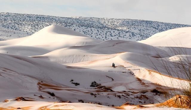 撒哈拉沙漠 撒哈拉沙漠地区已被白雪覆盖？全球进入降温状态，灾难或将来临？