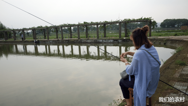 |防止小鱼闹窝有奇招，4种完美解决小鱼闹窝的方法，果断收藏