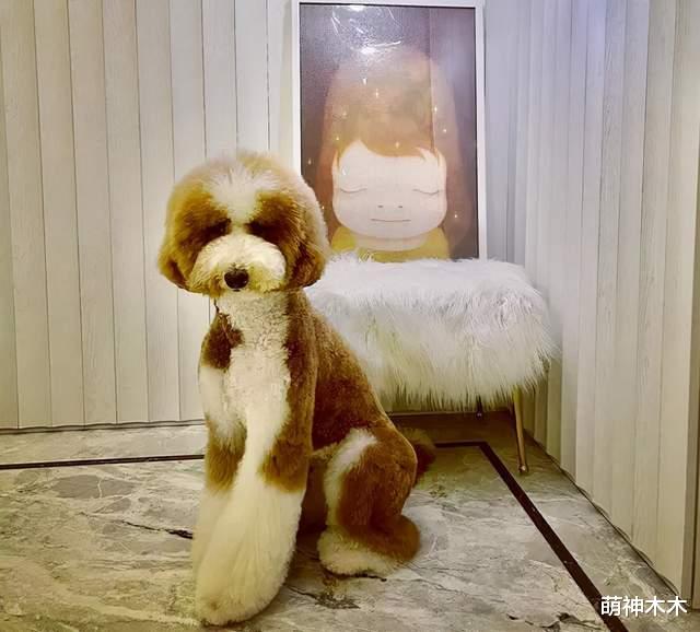 罗志祥|罗志祥借狗炫富惹争议,拍照背景全是大牌包,过个生日餐食都定制