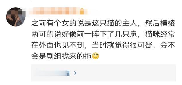 小猫是被电死的?剧组紧急回应:我们报案了
