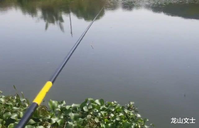 |隔河两岸，双杆对钓