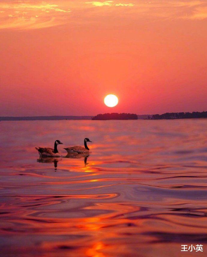 职场故事|职场中，人缘总是比较好的3个星座，非常擅长沟通