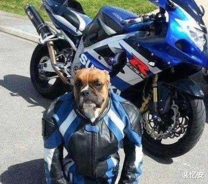 |“嫂子就因为胖了一斤就拼命的健身减肥，完全看不出胖在哪里呀！”哈哈哈