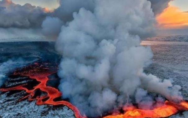 科学家 如果第六次生物大灭绝来临，人类能否幸免？科学家给出答案