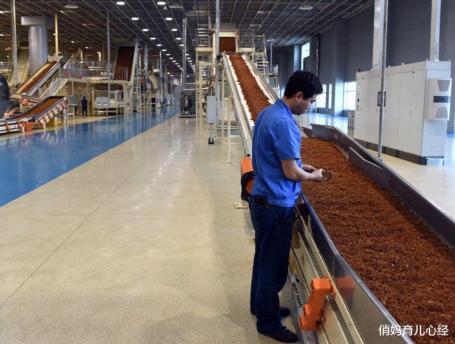 俏妈育儿心经|卷烟厂流水线上研究生超30%，网友：难道不是在浪费教育资源吗？