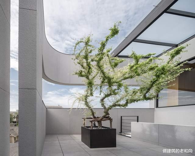 混凝土|被光线雕刻的混凝土住宅：中间撕开一条缝，让阳光和风吹进来
