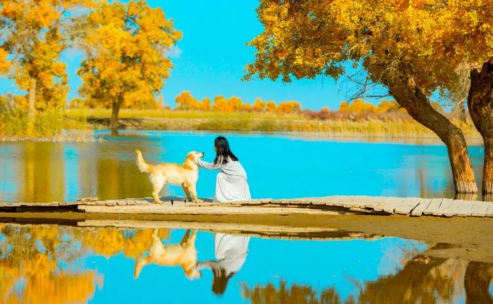 运势 9月28日 八月廿二,十二生肖运势与注意事项