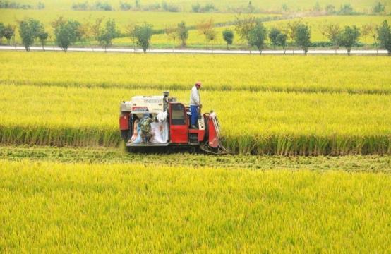 育妈计|粮食补贴落地,今年每亩地补贴将调成这个数,涉及家家户户