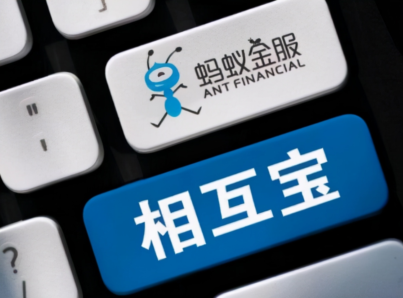 相互宝|永久关闭！输了官司后，相互宝“跑路”