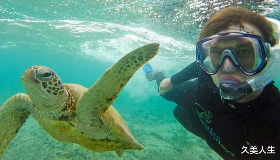 久美人生|小哥因和动物自拍上热搜 背后真相曝光百万网友泪奔