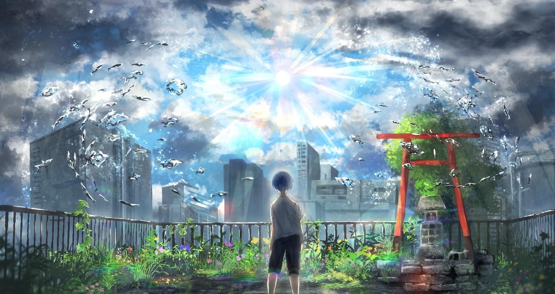 新海诚|三年之期将至，新海诚新作确定公布时间