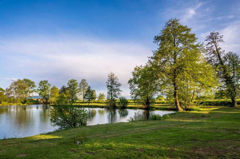我们高估了自己的大脑？人类大脑的真实存储量可能比想象中小得多
