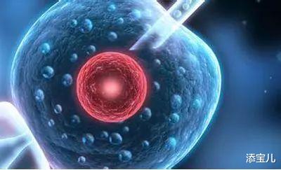 添宝儿|辟谣: 试管婴儿促排卵会加速卵巢衰老?