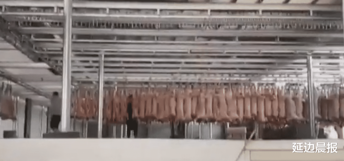 瘦肉精|央视起底河北“瘦肉精”羊肉,当地养殖户:每次检查前都能先得到消息