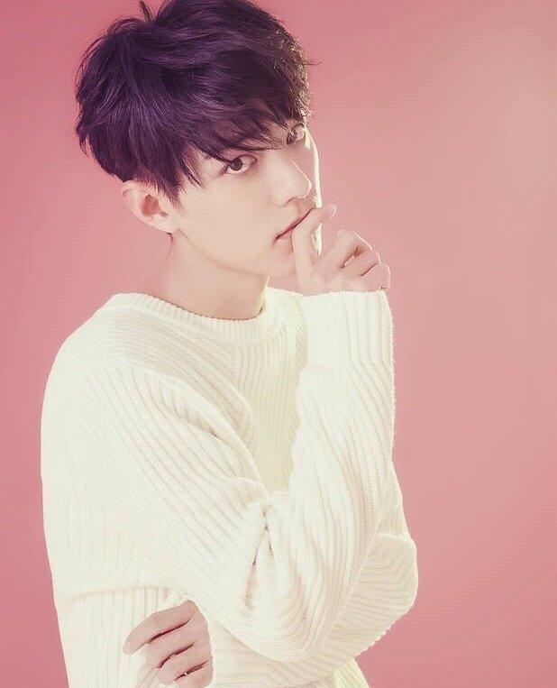 肖战|《央视三农》再度点名肖战，一番点评感动无数粉丝