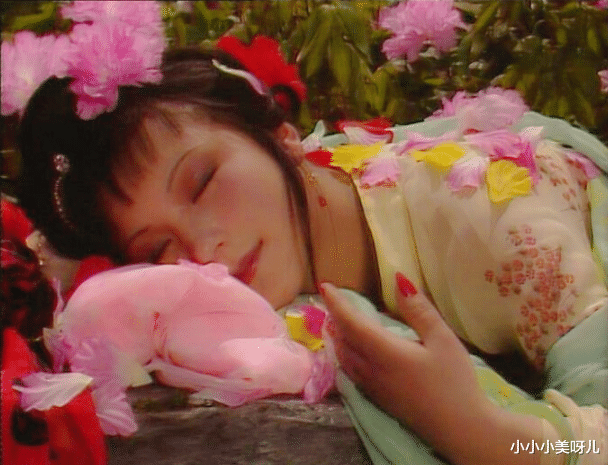 小小小美呀儿|史湘云明明过得比林黛玉惨多了,却很少有读者心疼她