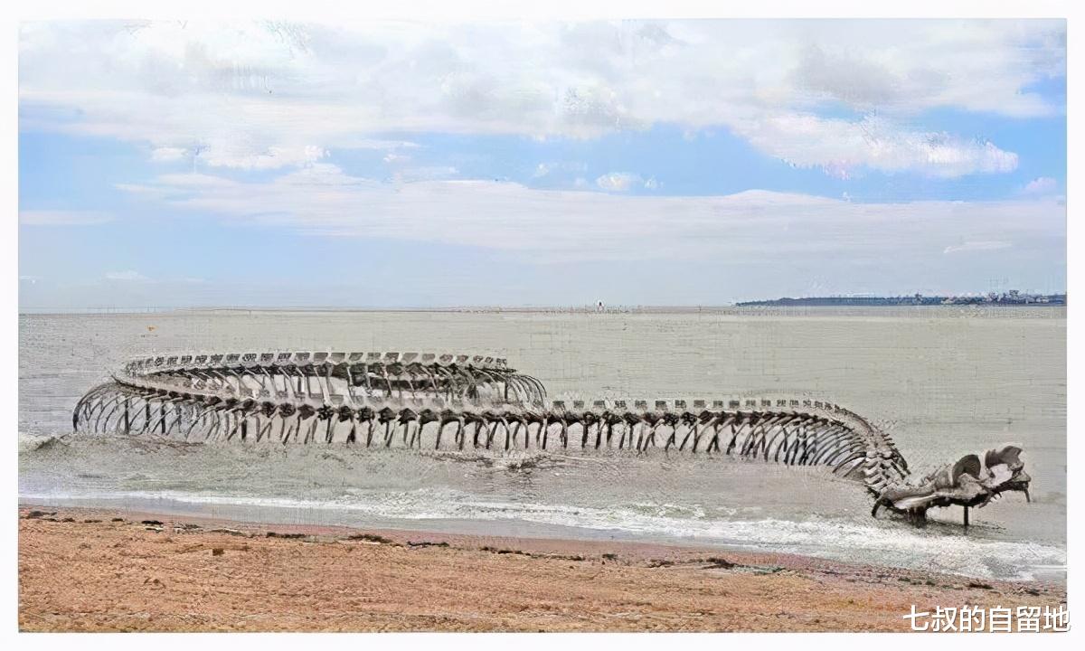  世界上的蛇到底有多大？5800万年前的泰坦巨蟒是否仍然存在？