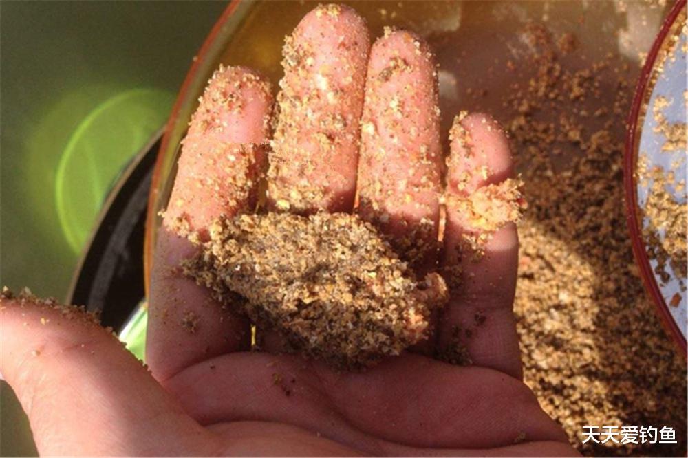 武汉|冬季钓鱼，上几条鱼就停口？是打窝之后少了一步，这步骤冬季独有