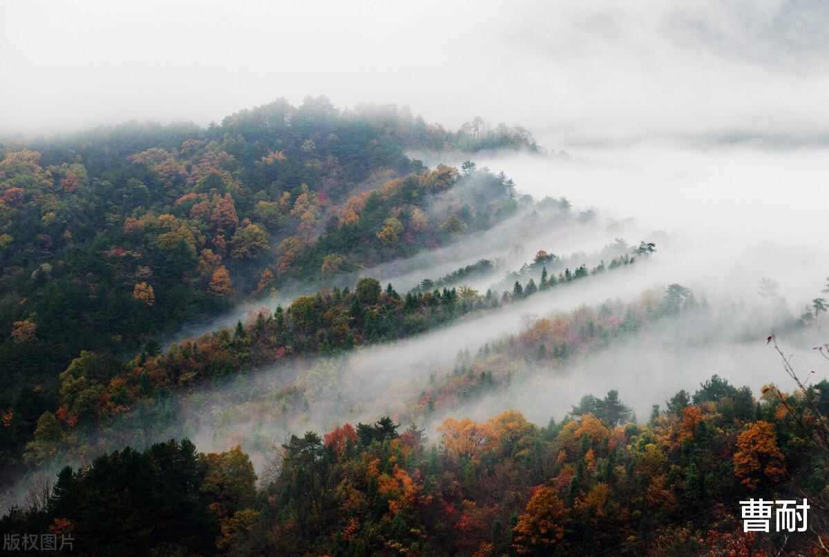 曹耐 河南，一半地级市都当过都城，一部鲜活的史书