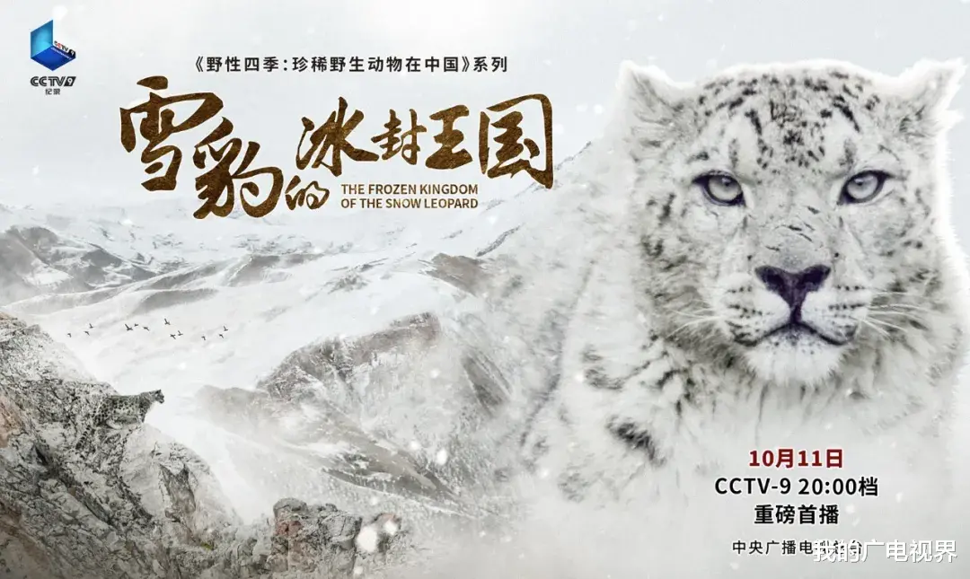 雪豹的冰封王国 《雪豹的冰封王国》：探寻生命意义的纪实奇遇