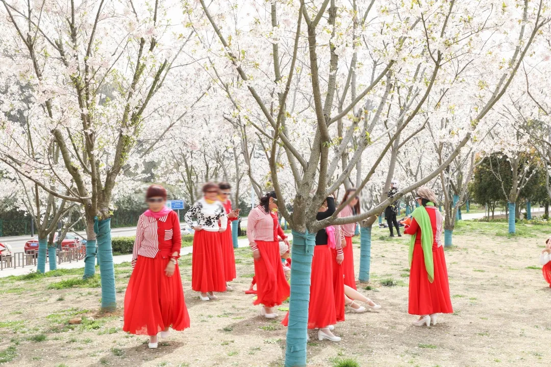 一马平天下 南京的大爷大妈，文武双全！