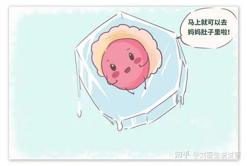 老夏聊备孕|试管婴儿一次能成功吗？做第二次试管需要注意什么？