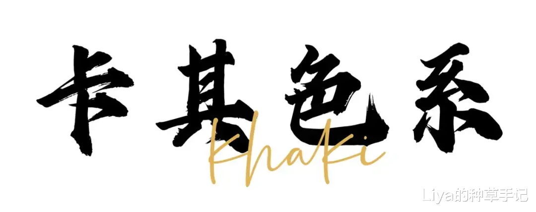 Liya的种草手记 别再穿一身黑了！今冬这3套才是真好看