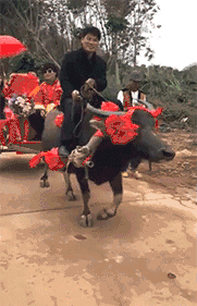  姑娘穿紧身裙注意点，一不小心就会原形毕露，亮点都被暴露了！