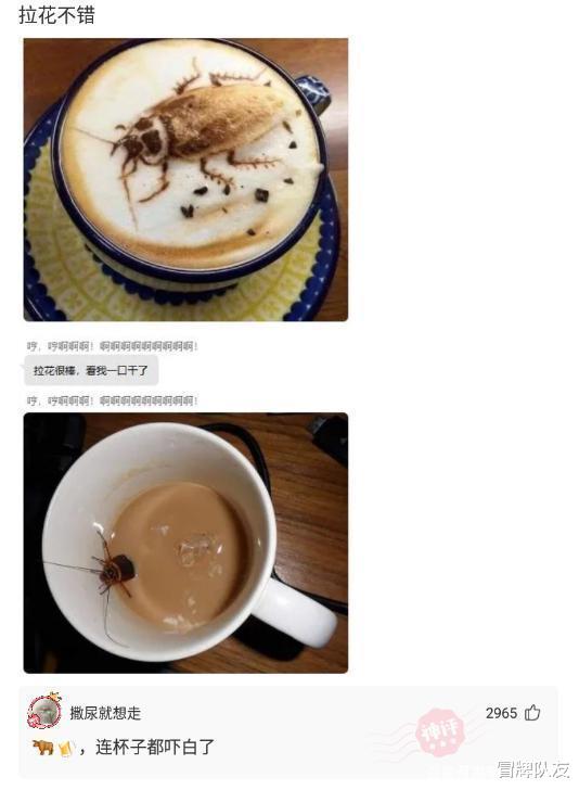 神回复:打开手电筒后再立即关闭,这道光线是直接消失了还是继续传播?