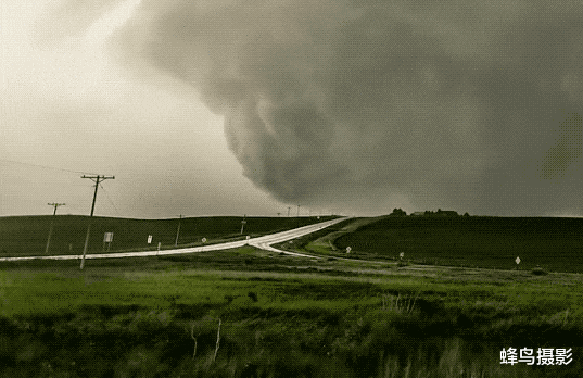 秦始皇帝陵 28张活久未见的照片，上万只蚂蚁搭“蚁”梯攻击黄蜂巢，谁组织的