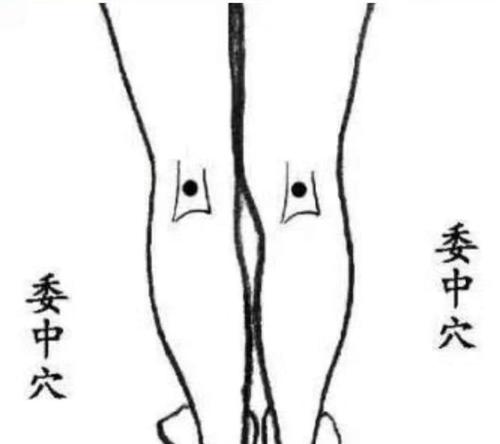 吕中医说|人体身上4个腰痛奇穴，每天按按，问诊费都省了
