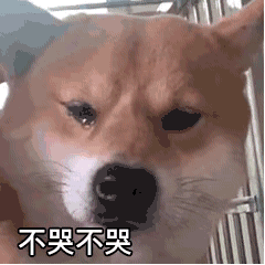 脱发|这几个好习惯，拯救你岌岌可危的发际线！