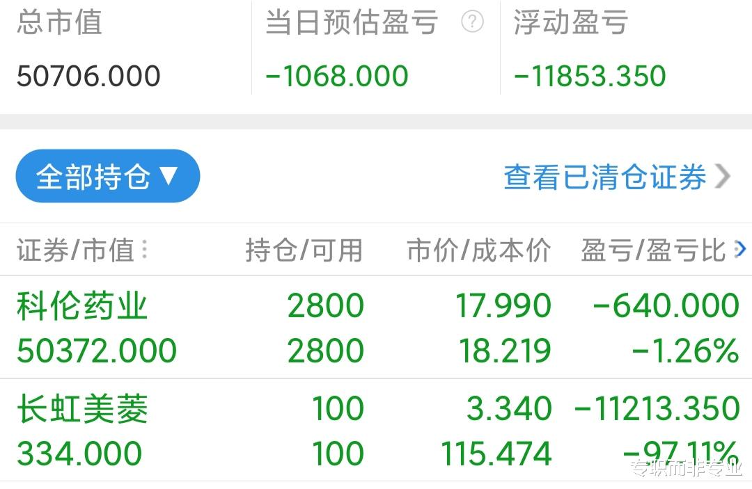 跌停 实盘第240个交易日：千亿市值芯片股跌停