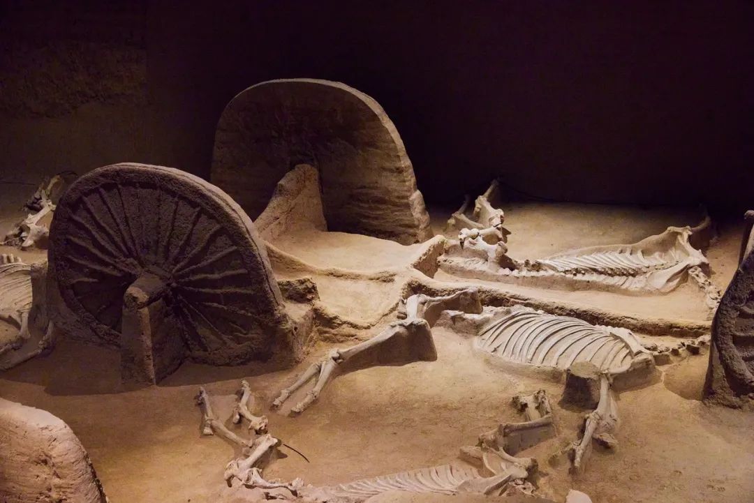 白马寺|黄轩、王一博新剧刚开播就爆了，它背后的这座老城也早该火了！