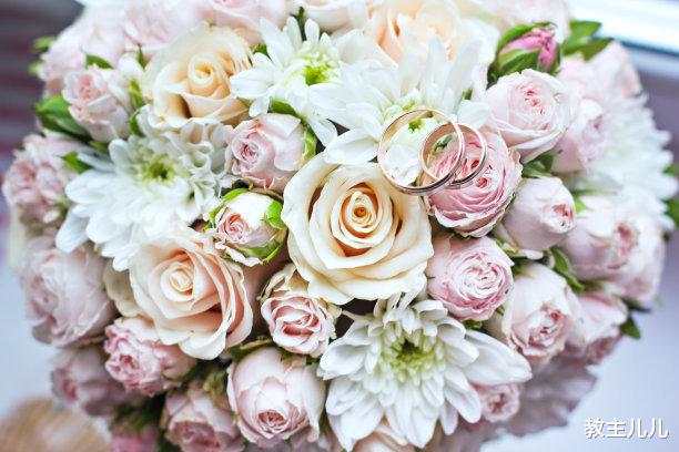 教主儿儿 参天大树，直插云霄，是因其于无数日夜中默默生长