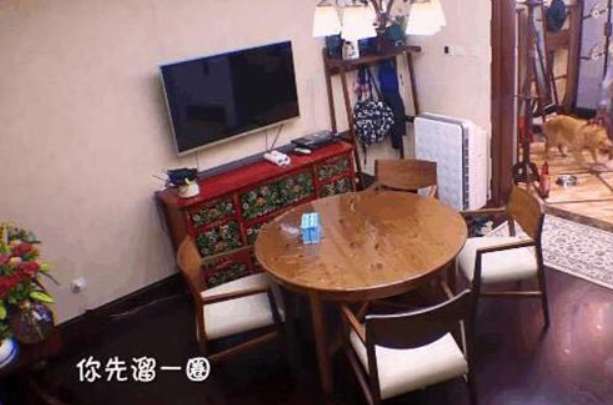 |晒晒袁弘和张歆艺的家，全屋都铺黑色地板，住在里面不压抑吗