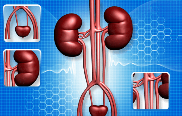 肾病|肾病多久会尿毒症？所有肾友最关注的问题，肾内医生终于说了实话