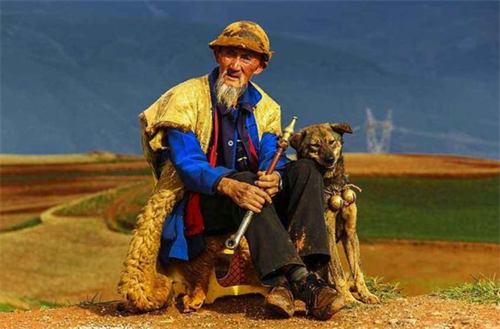 谢晋|1993年，他带狗参演谢晋电影《老人与狗》，上映后人和狗皆被枪决