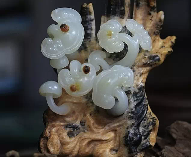 文玩|因为你们，让文玩圈更加绚丽多彩