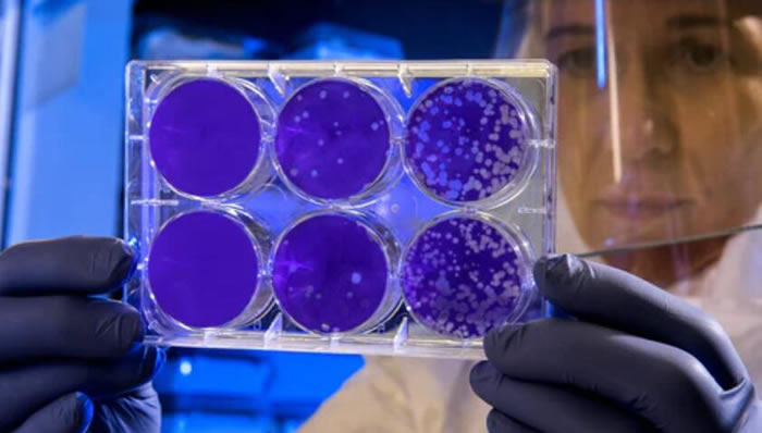 科学家 硅谷Altos Labs的新冒险：通过细胞重编程让人类寿命延长50年